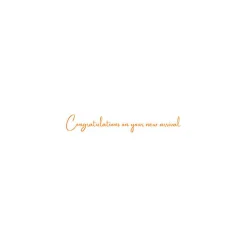 Baby - Set Of Six Greeting Cards And Envelopes