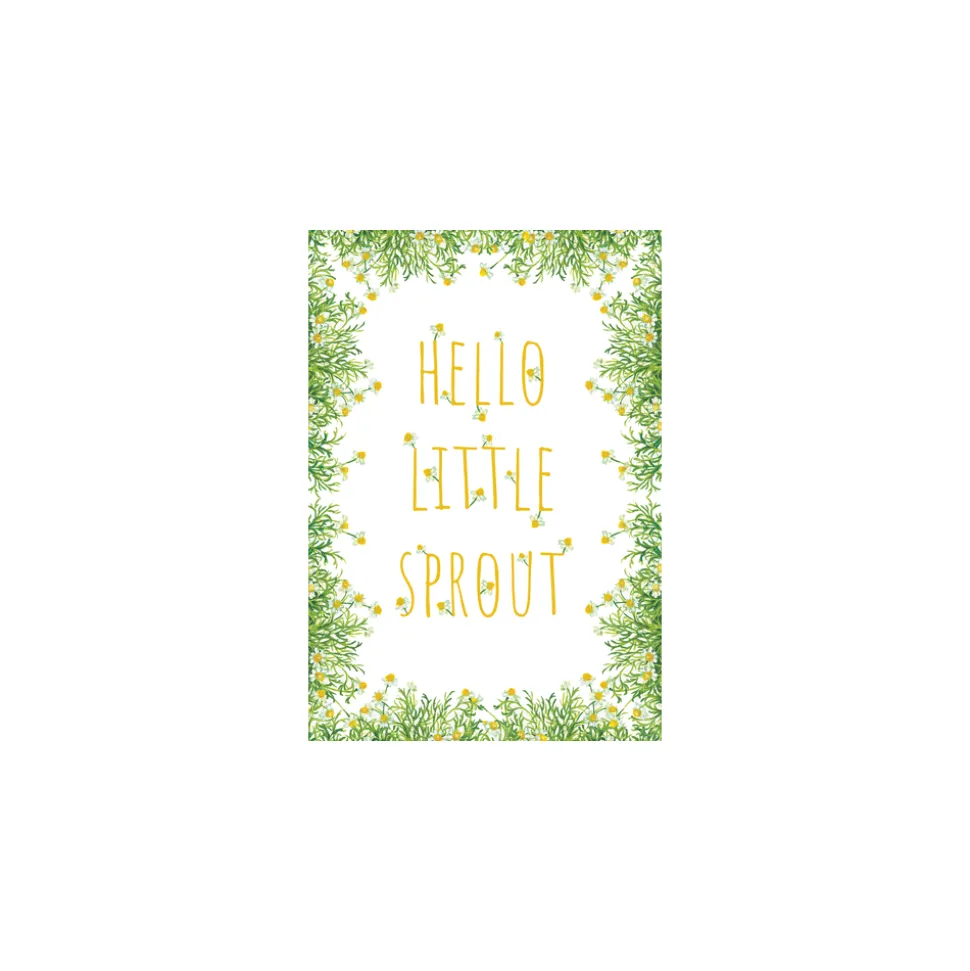 Baby - Set Of Six Greeting Cards And Envelopes