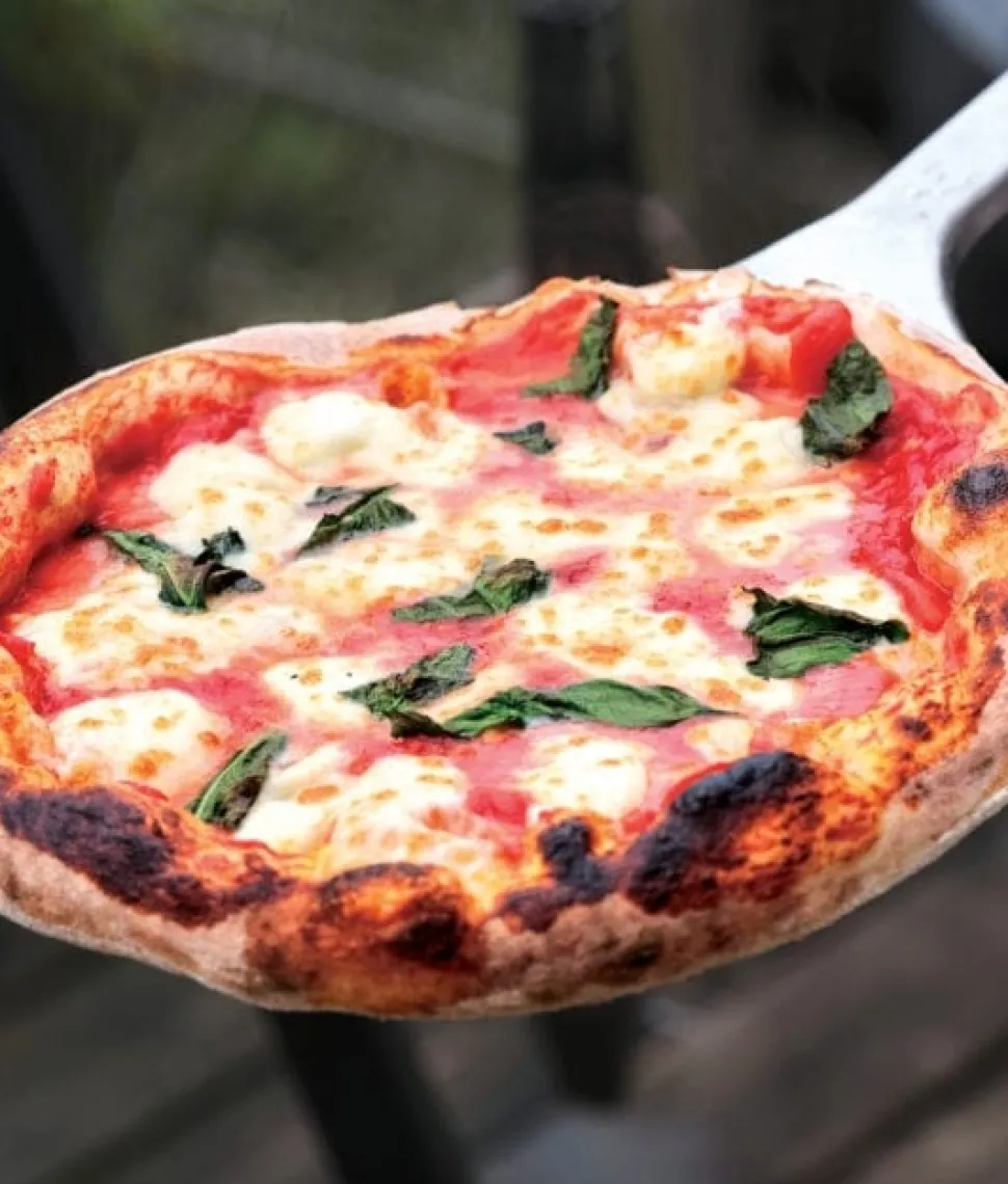 Backyard Pizza