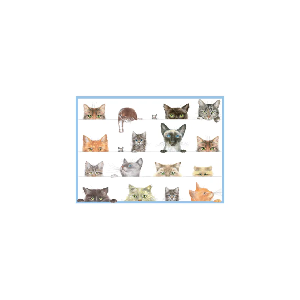Birthday Party Animals - Set Of Six Greeting Cards And Envelopes