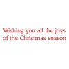 Botanical Ornaments Small Boxed Christmas Cards - includes 15 cards & envelopes