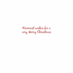 Cat And Dog At Window Petite Boxed Christmas Cards - includes 15 cards & envelopes
