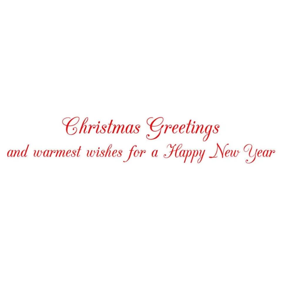 Chickadee And Holly Branch Small Boxed Christmas Cards - includes 15 cards & envelopes
