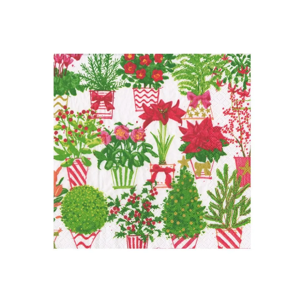 Christmas Flower Market Boxed Cocktail Napkins - 40 Per Box