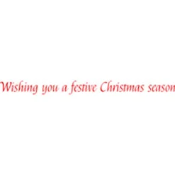 Christmas Tiger Small Boxed Christmas Cards - includes 15 cards & envelopes