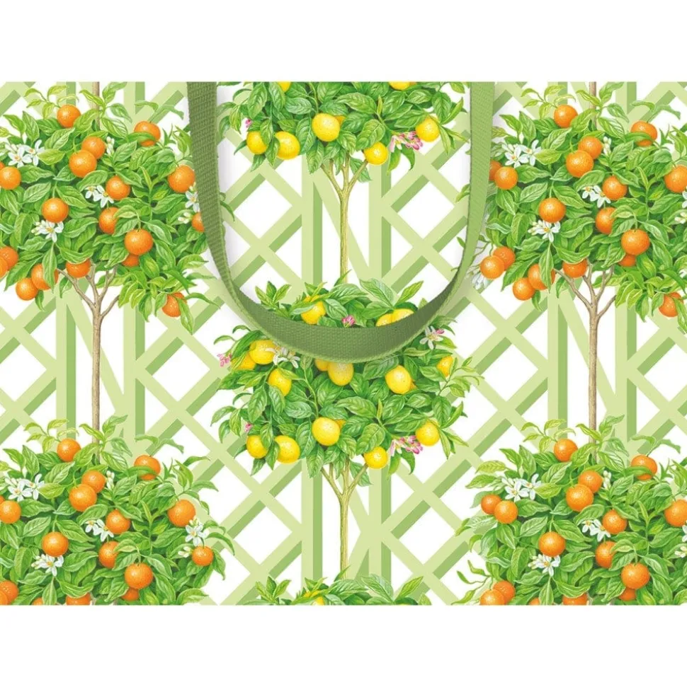 Citrus Topiaries Small Gift Bag in White - 1 Each