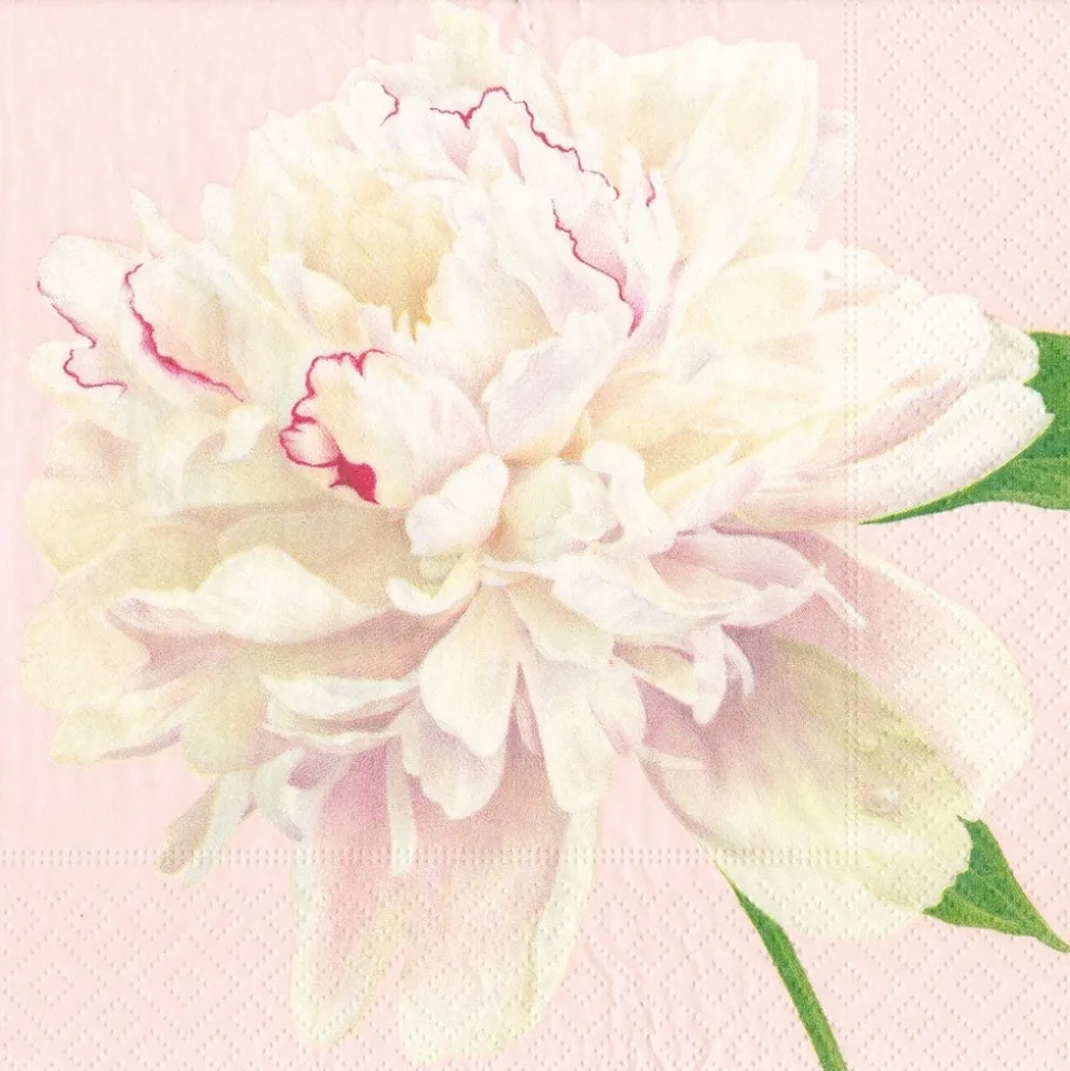 Duchess Peonies Blush Napkin Dinner