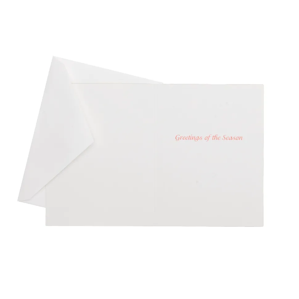 Evergreen And Berries Classic Boxed Christmas Cards - includes 15 cards & envelopes