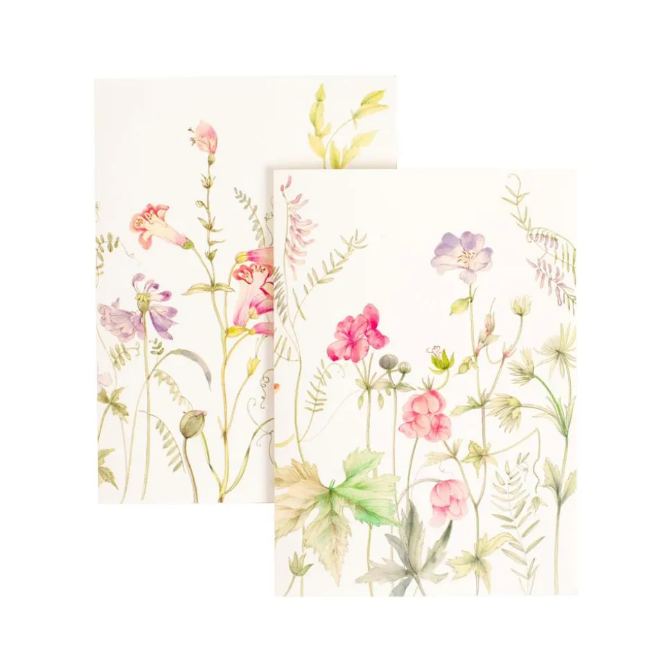 French Floral Boxed Note Cards - 8 Note Cards & 8 Envelopes