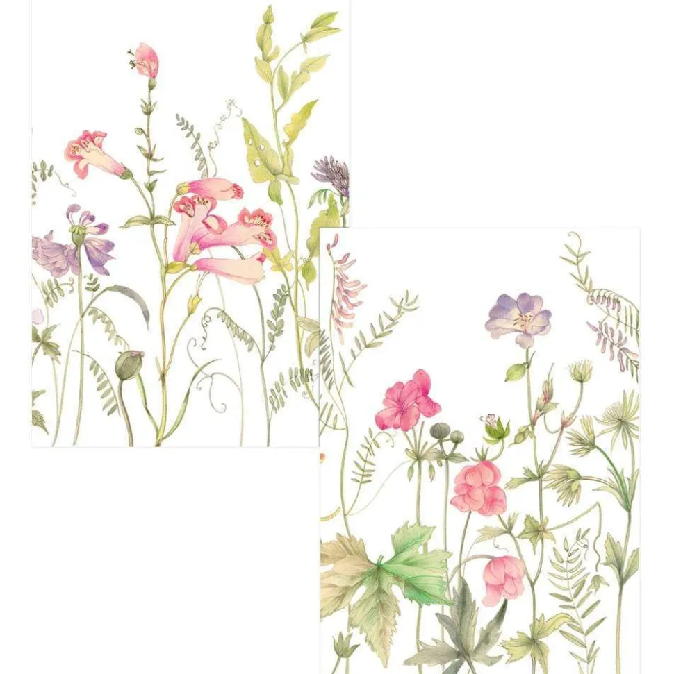 French Floral Boxed Note Cards - 8 Note Cards & 8 Envelopes