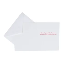 Holly Sprig Petite Boxed Christmas Cards - includes 15 cards & envelopes