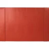 Lizard Desk Pad in Orange - 1 Each