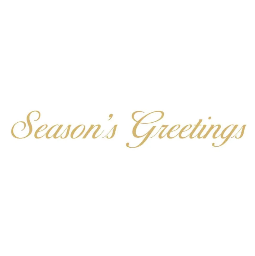 Magnolia Bloom Large Boxed Christmas Cards - includes 15 Boxed Christmas Cards