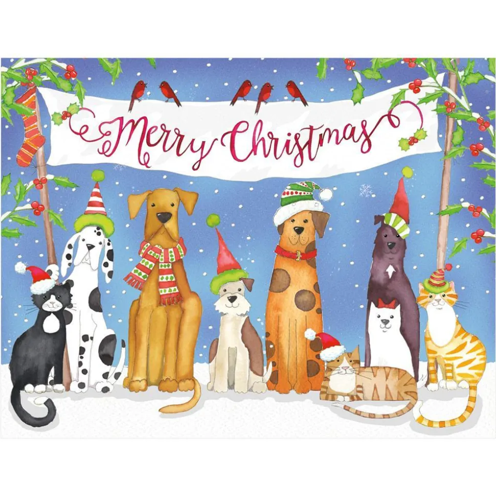 Merry Christmas From Pets Classic Boxed Christmas Cards - includes 15 cards & envelopes