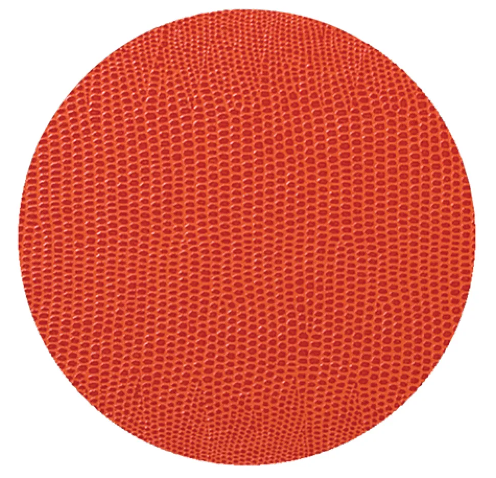 Orange Lizard Coaster Round 8-In Felt