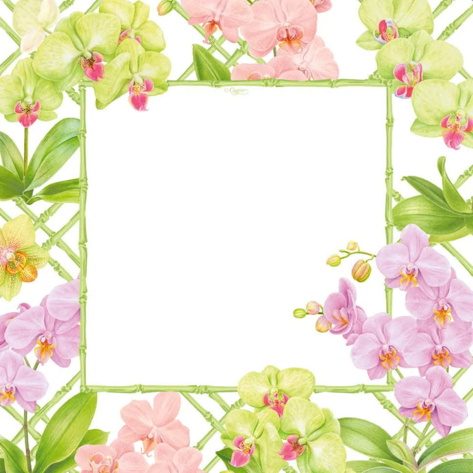 Orchid Conservatory Square Paper Dinner Plates - 8 Per Package