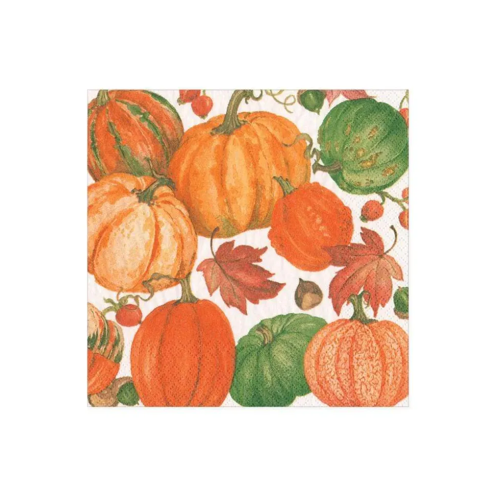 Pumpkin Field Boxed Paper Cocktail Napkins in White - 40 Per Box