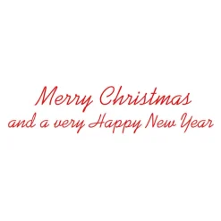 Santa Carrying Tree Classic Boxed Christmas Cards - includes 15 cards & envelopes