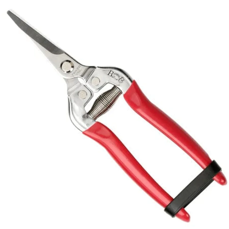 Snip and Holster in British Bloom - 1 Each
