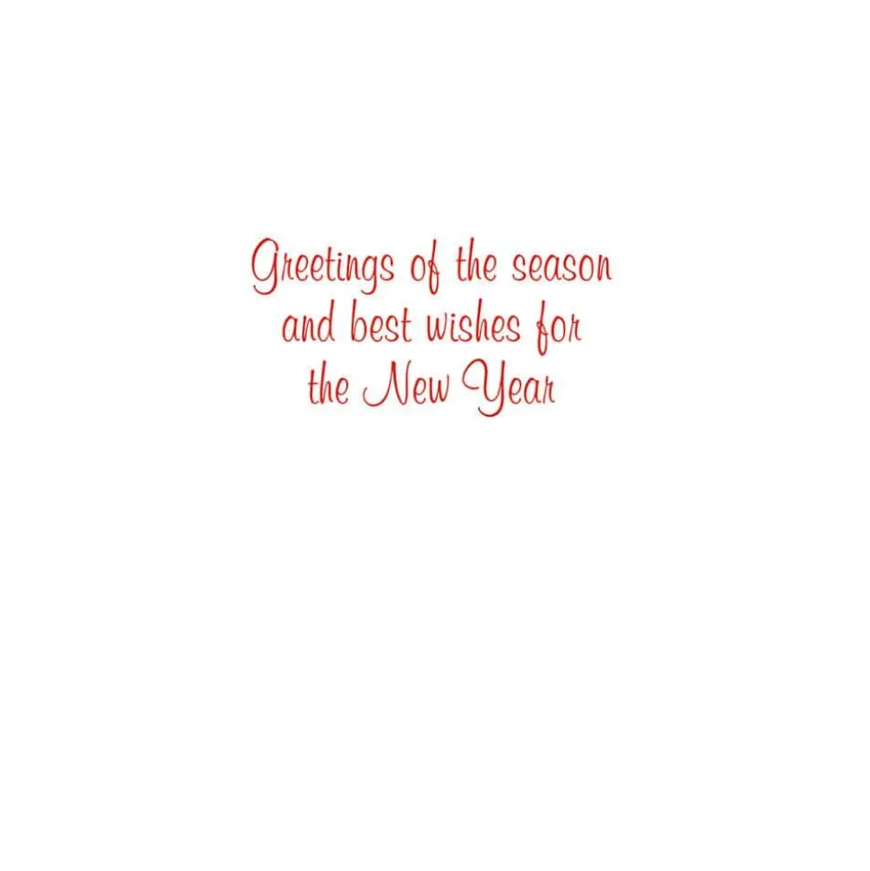 Succulent Wreath Classic Boxed Christmas Cards - includes 15 cards & envelopes