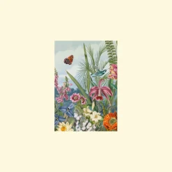 Sympathy - Set Of Six Greeting Cards And Envelopes