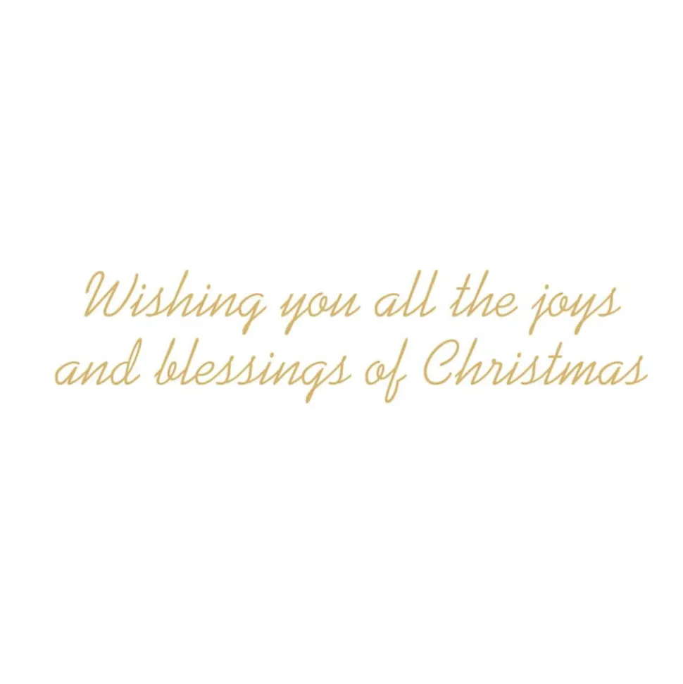 The Shepherds' Field Small Boxed Christmas Cards - includes 15 cards & envelopes