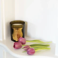 Trudon Classic Scented Candle - Josephine