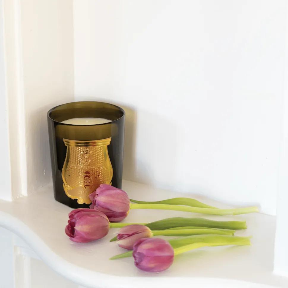 Trudon Classic Scented Candle - Josephine