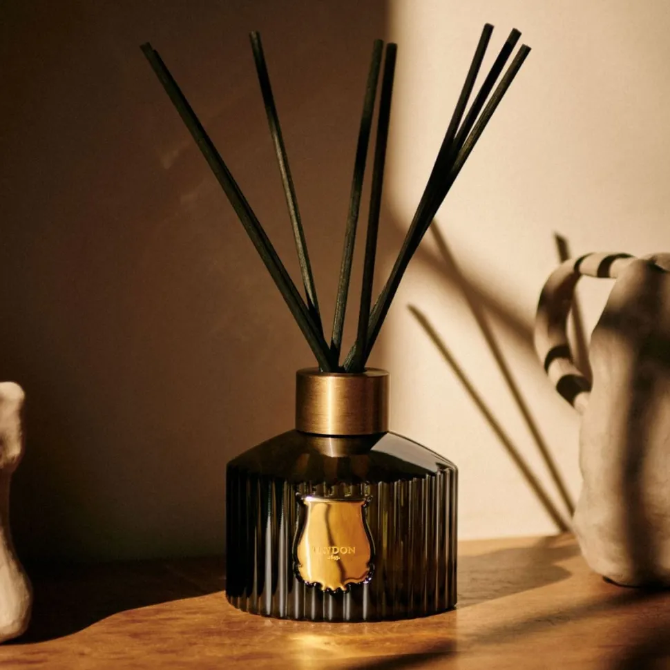 Trudon Diffuser Refill - Ernesto