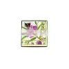 Wellington Ivory Boxed Cocktail Napkins - 40 Per Box