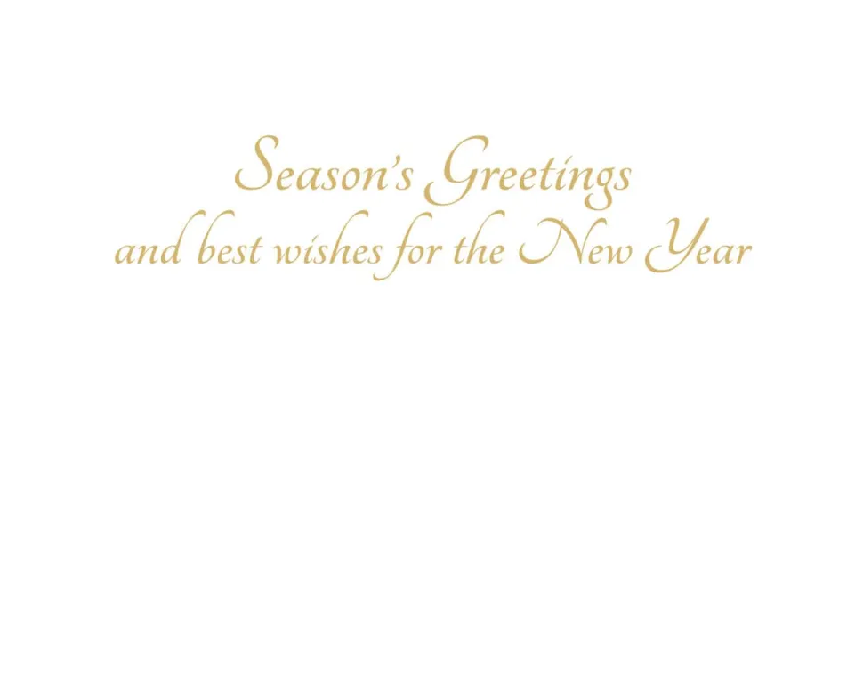 White Christmas Foil Classic Boxed Christmas Cards - includes 10 cards & envelopes