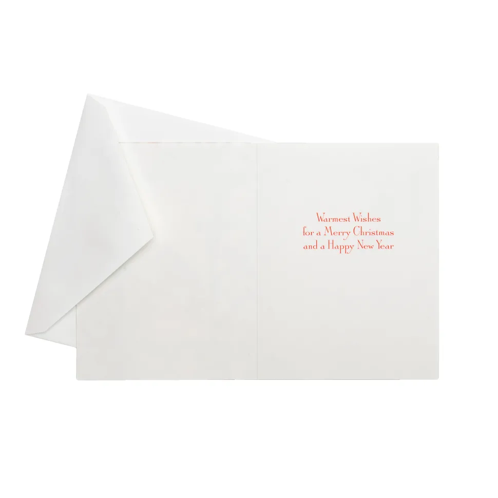 Winter Birds And Berries Classic Boxed Christmas Cards - includes 15 cards & envelopes